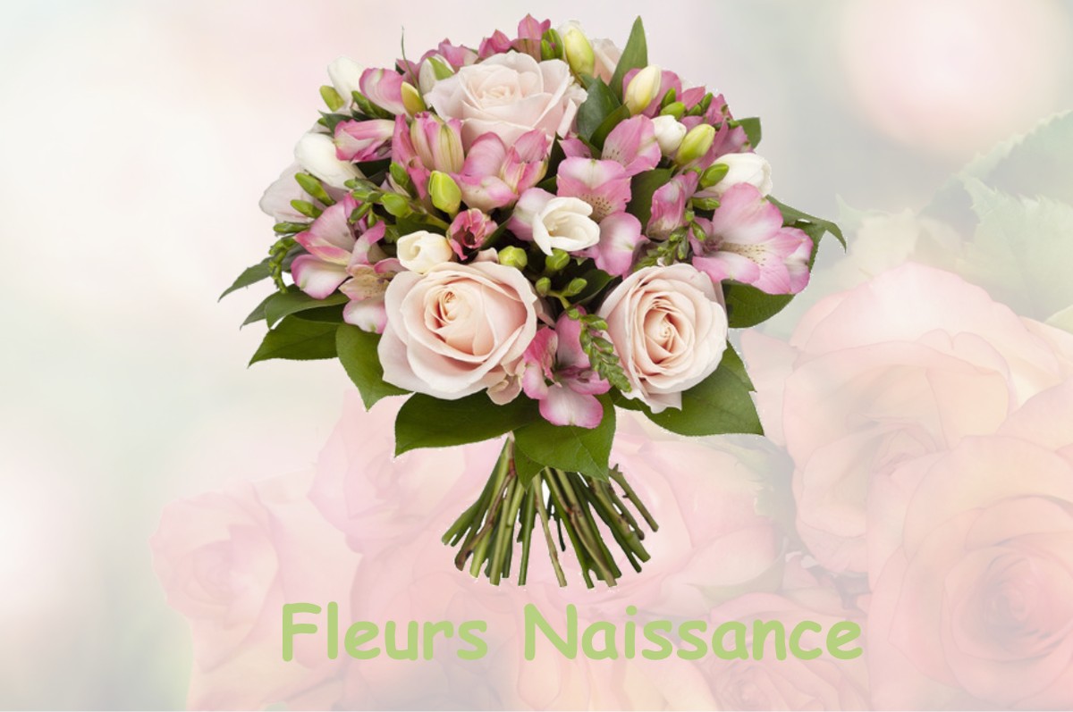 fleurs naissance JUZET-D-IZAUT