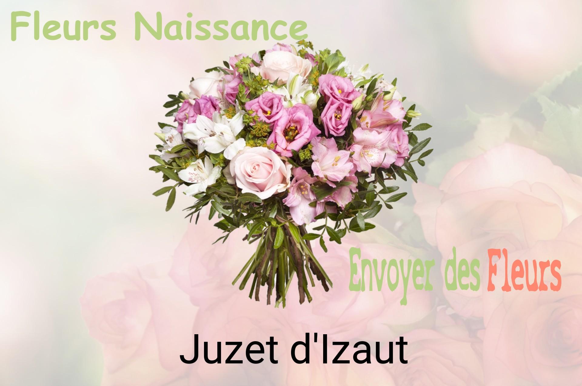 Bouquet de fleurs de naissance livré à Juzet-d'Izaut
