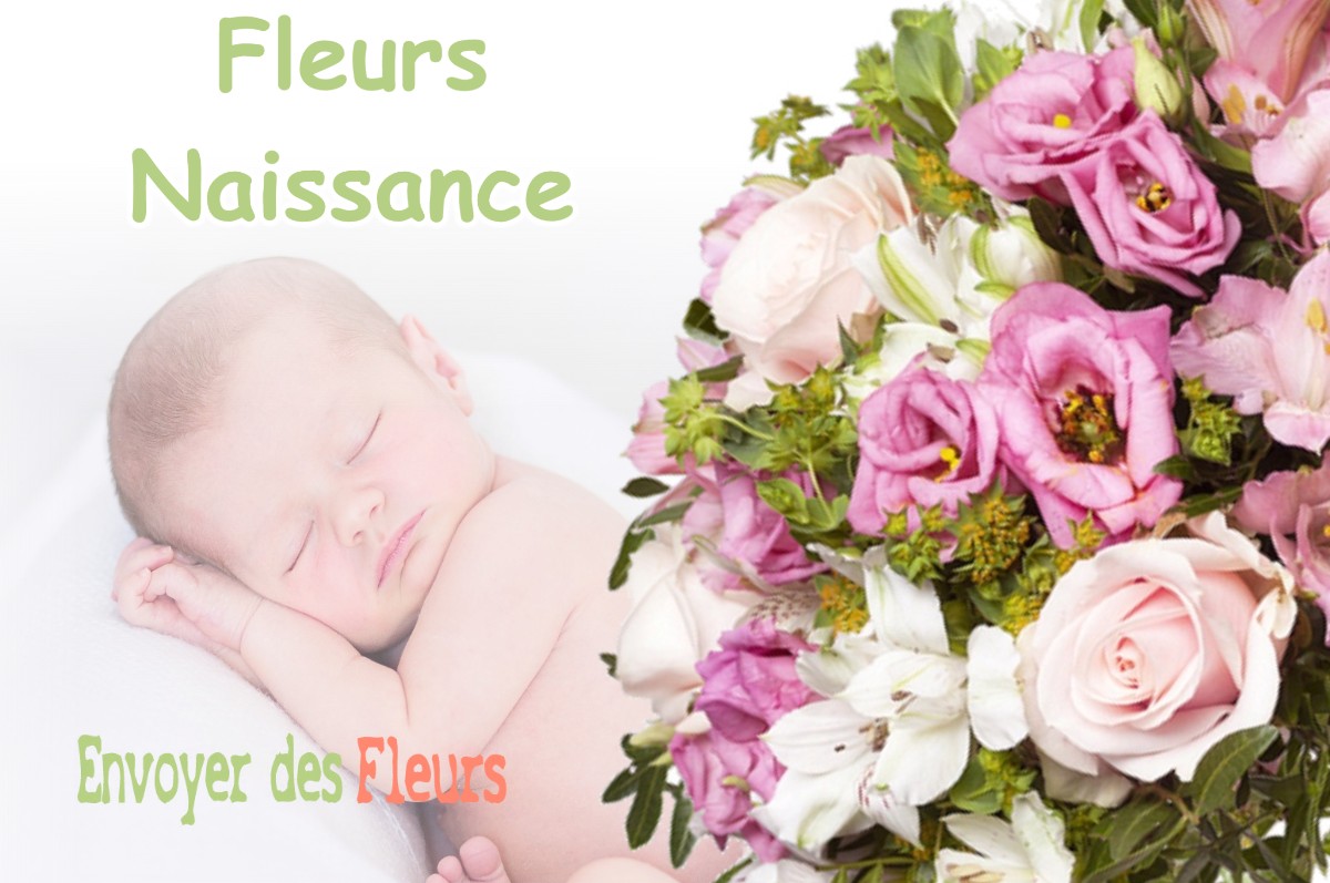 lIVRAISON FLEURS NAISSANCE à JUZET-D-IZAUT