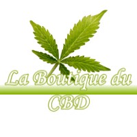 LA BOUTIQUE DU CBD JUZET-D-IZAUT 